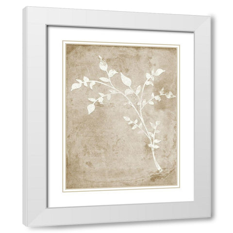 Rustic Floral I White Modern Wood Framed Art Print with Double Matting by Quach, Anna