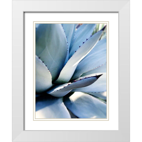 Giant Succulent I White Modern Wood Framed Art Print with Double Matting by Wilson, Kali
