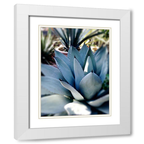 Giant Succulent II White Modern Wood Framed Art Print with Double Matting by Wilson, Kali