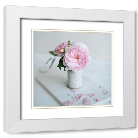 A Single Rose White Modern Wood Framed Art Print with Double Matting by Gardner, Sarah