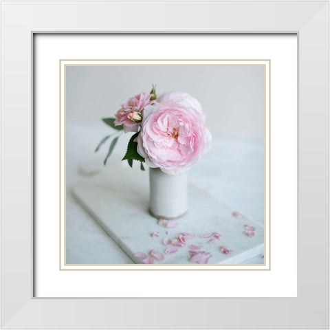 A Single Rose White Modern Wood Framed Art Print with Double Matting by Gardner, Sarah