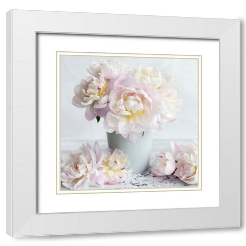 White Blooms White Modern Wood Framed Art Print with Double Matting by Gardner, Sarah