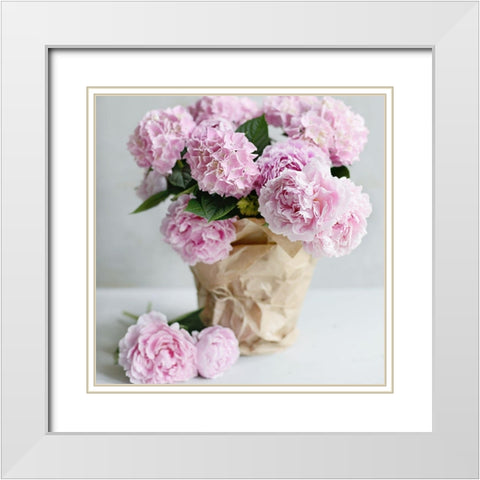 Pink Blooms White Modern Wood Framed Art Print with Double Matting by Gardner, Sarah
