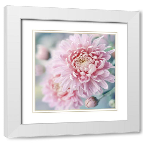 Romantic Blossom White Modern Wood Framed Art Print with Double Matting by Gardner, Sarah