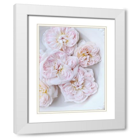 Pink Floating Floral White Modern Wood Framed Art Print with Double Matting by Gardner, Sarah