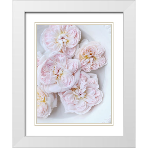 Pink Floating Floral White Modern Wood Framed Art Print with Double Matting by Gardner, Sarah