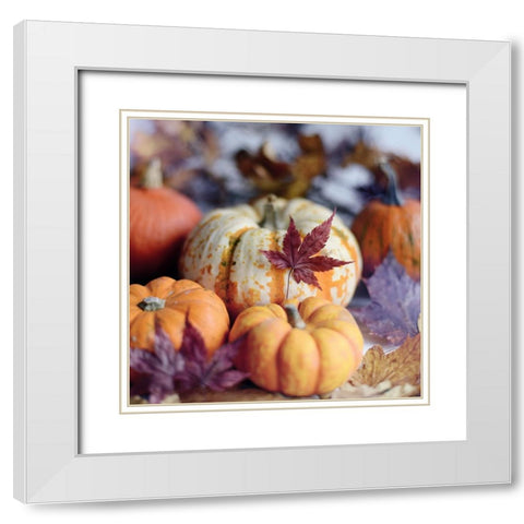 A Bright Harvest II White Modern Wood Framed Art Print with Double Matting by Gardner, Sarah