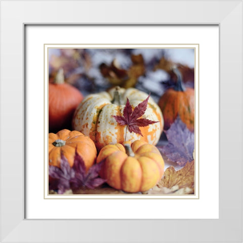 A Bright Harvest II White Modern Wood Framed Art Print with Double Matting by Gardner, Sarah