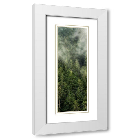 Smoky Forest Panel II White Modern Wood Framed Art Print with Double Matting by Amos, Andy