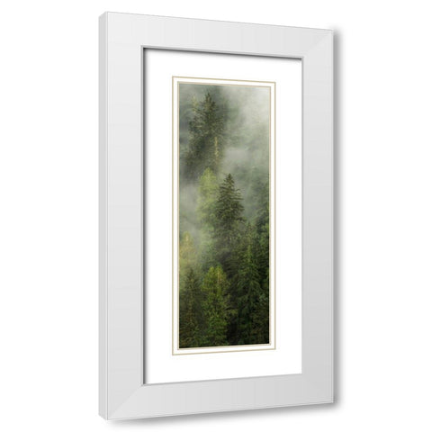 Smoky Forest Panel I White Modern Wood Framed Art Print with Double Matting by Amos, Andy