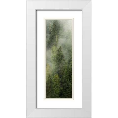 Smoky Forest Panel I White Modern Wood Framed Art Print with Double Matting by Amos, Andy