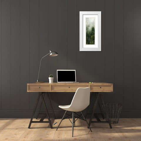 Smoky Forest Panel III White Modern Wood Framed Art Print with Double Matting by Amos, Andy