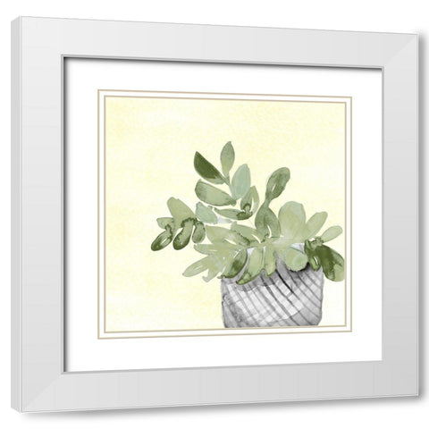 Sunny Day Potted Plant II White Modern Wood Framed Art Print with Double Matting by Loreth, Lanie