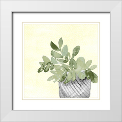 Sunny Day Potted Plant II White Modern Wood Framed Art Print with Double Matting by Loreth, Lanie
