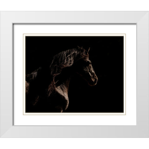 Mystery Horse White Modern Wood Framed Art Print with Double Matting by Walker, Carol