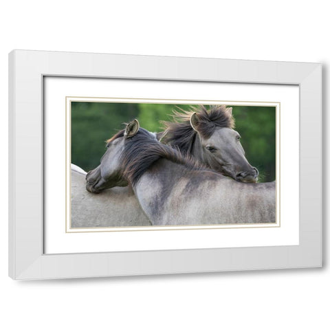 Caring Horses White Modern Wood Framed Art Print with Double Matting by Walker, Carol