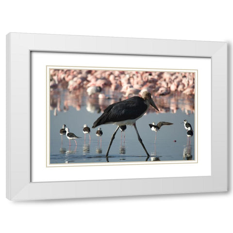 Among the Flock I White Modern Wood Framed Art Print with Double Matting by Walker, Carol