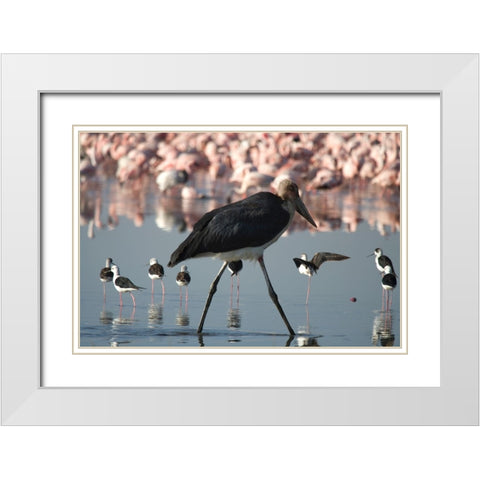 Among the Flock I White Modern Wood Framed Art Print with Double Matting by Walker, Carol