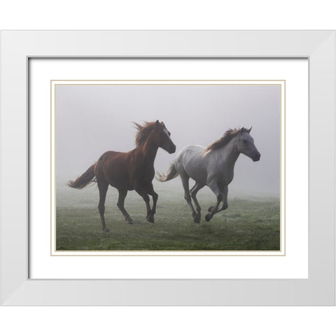 Running Wild White Modern Wood Framed Art Print with Double Matting by Walker, Carol