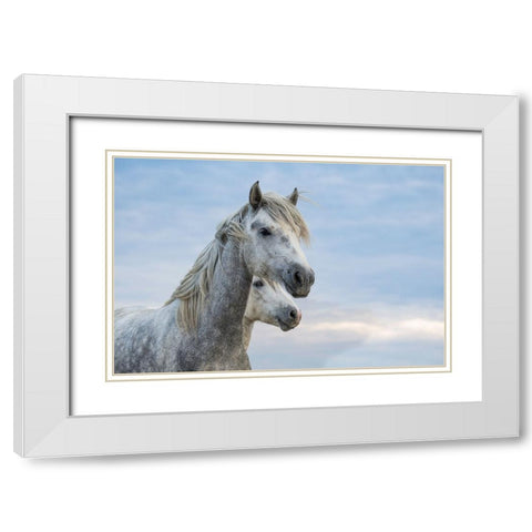 Blue Skies White Modern Wood Framed Art Print with Double Matting by Walker, Carol