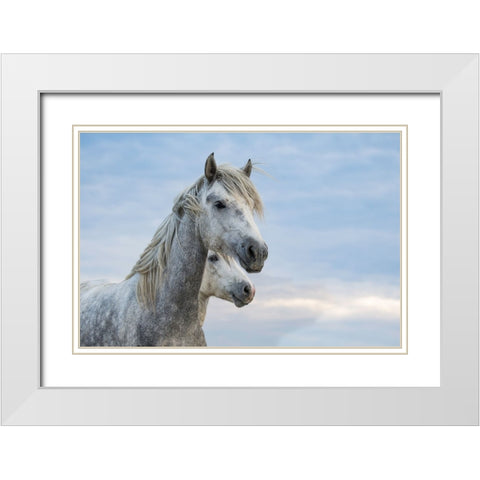 Blue Skies White Modern Wood Framed Art Print with Double Matting by Walker, Carol