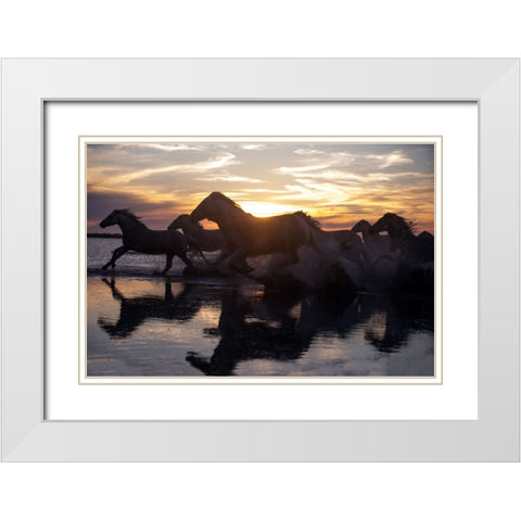 Coastal Horses White Modern Wood Framed Art Print with Double Matting by Walker, Carol