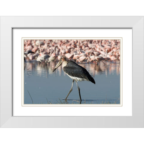 Among the Flock II White Modern Wood Framed Art Print with Double Matting by Walker, Carol