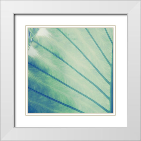 Vintage Palm Leaf II White Modern Wood Framed Art Print with Double Matting by Mansfield, Kathy