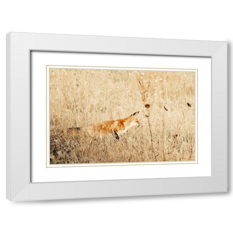Hide and Hunt White Modern Wood Framed Art Print with Double Matting by Mansfield, Kathy