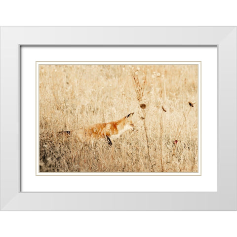 Hide and Hunt White Modern Wood Framed Art Print with Double Matting by Mansfield, Kathy