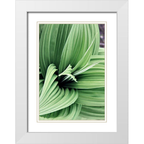 Green Leaf Blooms II White Modern Wood Framed Art Print with Double Matting by Mansfield, Kathy