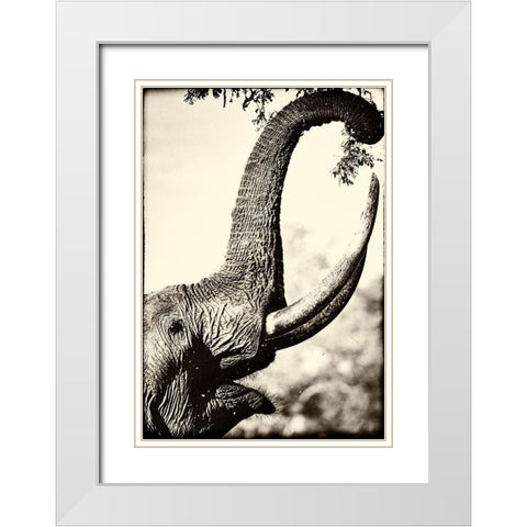 Reaching High White Modern Wood Framed Art Print with Double Matting by Niassa Lion Project