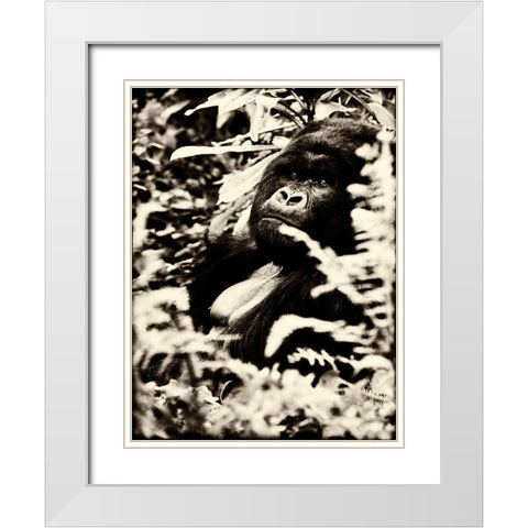 Gorilla White Modern Wood Framed Art Print with Double Matting by Niassa Lion Project