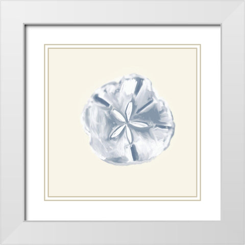 Sand Dollar on Cream White Modern Wood Framed Art Print with Double Matting by DeRice, Julie