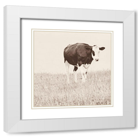 Vintage Cow on Field White Modern Wood Framed Art Print with Double Matting by Amos, Andy