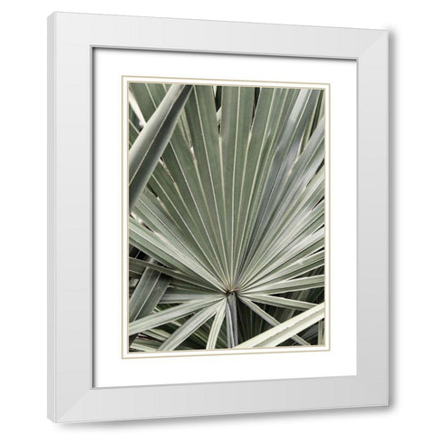 Organic Palm I White Modern Wood Framed Art Print with Double Matting by Amos, Andy