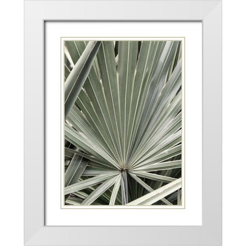Organic Palm I White Modern Wood Framed Art Print with Double Matting by Amos, Andy
