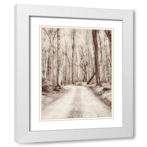 Road in the Woods White Modern Wood Framed Art Print with Double Matting by Amos, Andy