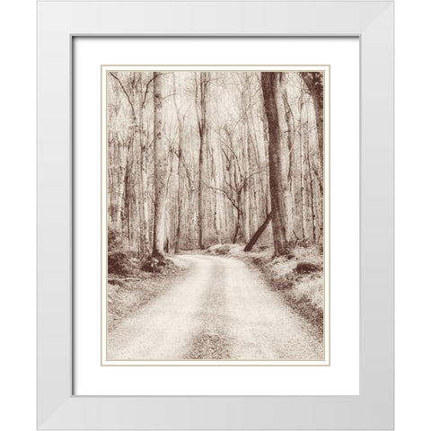Road in the Woods White Modern Wood Framed Art Print with Double Matting by Amos, Andy