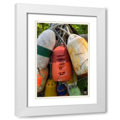 Boat Bumpers II White Modern Wood Framed Art Print with Double Matting by Amos, Andy