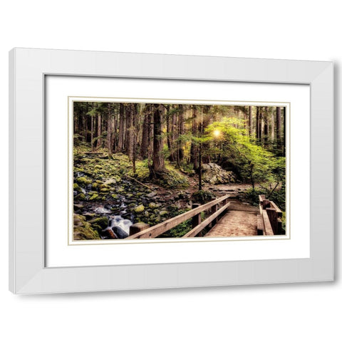 Nature Trails White Modern Wood Framed Art Print with Double Matting by Amos, Andy