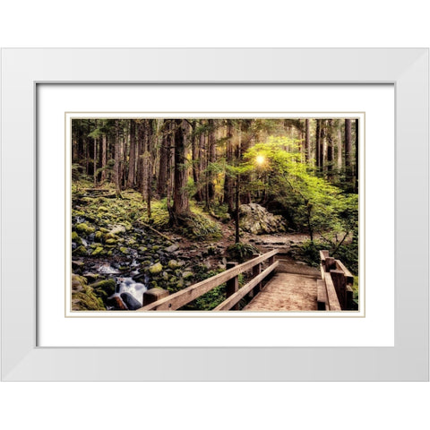 Nature Trails White Modern Wood Framed Art Print with Double Matting by Amos, Andy