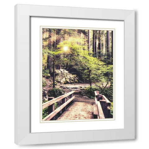 Sunlight on the Forest Path White Modern Wood Framed Art Print with Double Matting by Amos, Andy