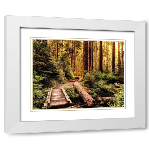Nature Hiking Trail White Modern Wood Framed Art Print with Double Matting by Amos, Andy