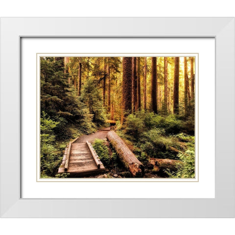 Nature Hiking Trail White Modern Wood Framed Art Print with Double Matting by Amos, Andy