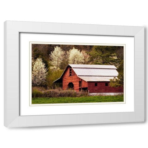 Skylight Red Barn White Modern Wood Framed Art Print with Double Matting by Amos, Andy