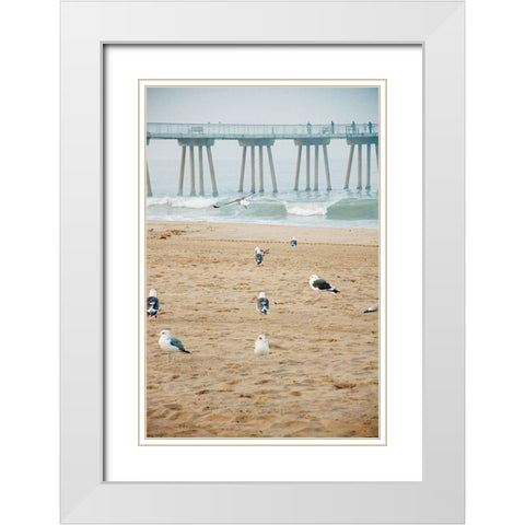 Seagull Coast White Modern Wood Framed Art Print with Double Matting by Bill Carson Photography