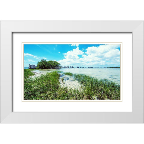 Tropical Coastline White Modern Wood Framed Art Print with Double Matting by Bill Carson Photography