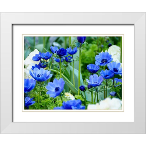 Vibrant Blue Hues White Modern Wood Framed Art Print with Double Matting by Peck, Gail