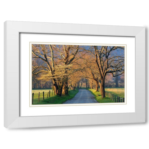Sunset Path White Modern Wood Framed Art Print with Double Matting by Jimmyz